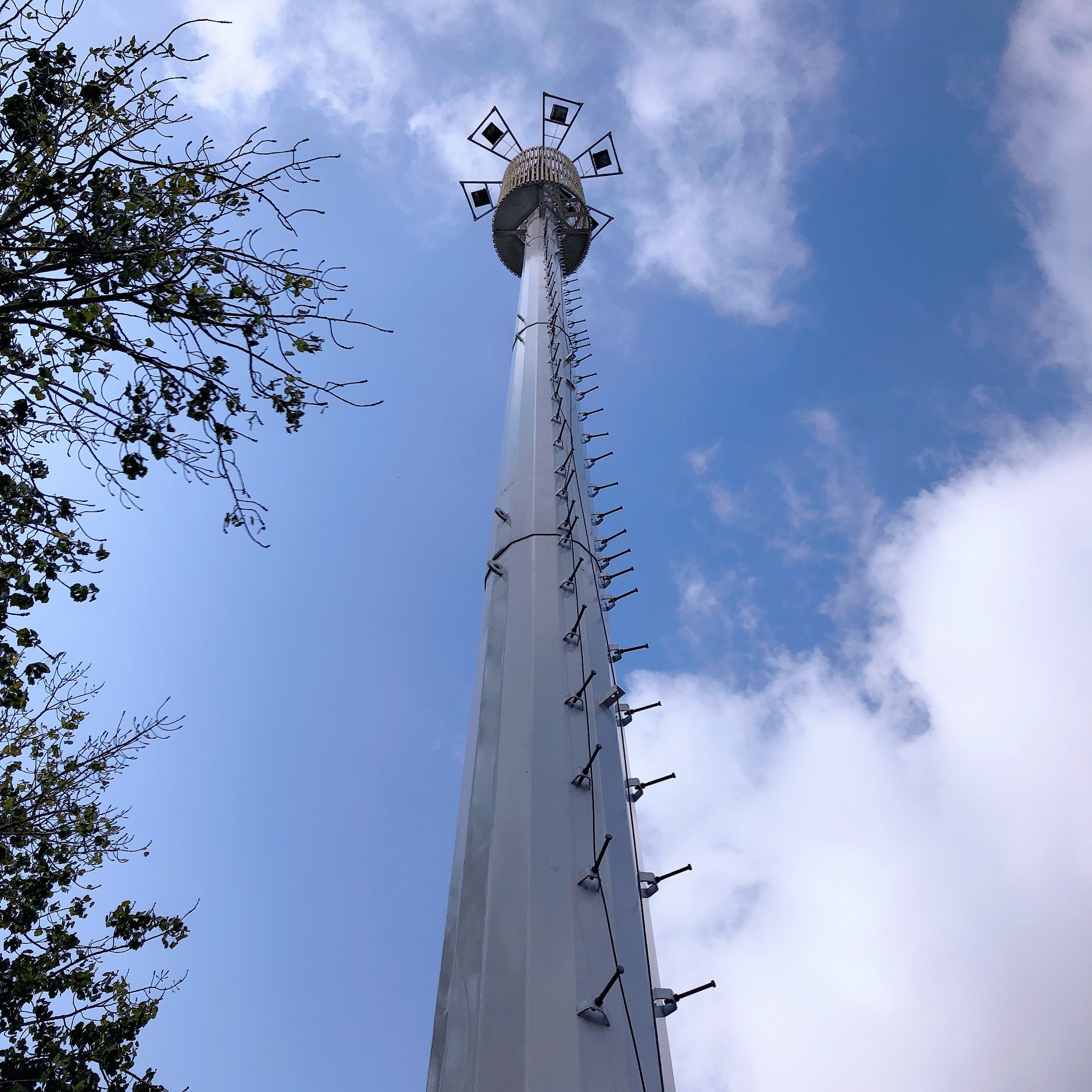 Башня 30m/S клетки экологического дерева телекоммуникаций Monopole бионического мобильная